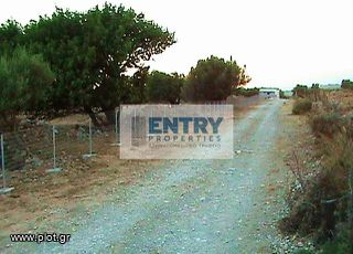 Οικόπεδο 14.033 τ.μ. για πώληση, Ν. Χανίων, Σφακιά-thumb-5