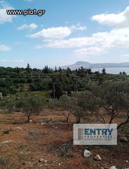Οικόπεδο 6.730 τ.μ. προς πώληση, Κέντρο Ακρωτηρίου-thumb-7