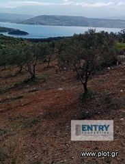 Οικόπεδο 6.730 τ.μ. προς πώληση, Κέντρο Ακρωτηρίου-thumb-8