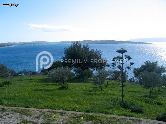 Οικόπεδο 12.000 τ.μ. για πώληση, Αργολίδα, Κρανίδι
