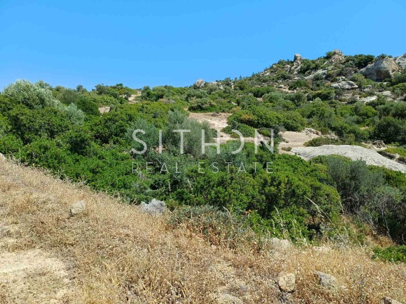Οικόπεδο 500 τ.μ. προς πώληση, Σκάλα Συκέας