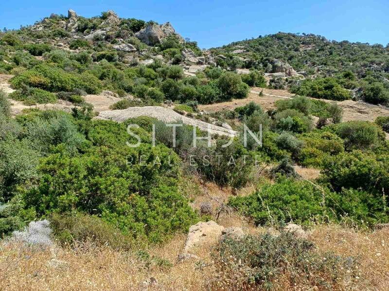 Οικόπεδο 500 τ.μ. προς πώληση, Σκάλα Συκέας