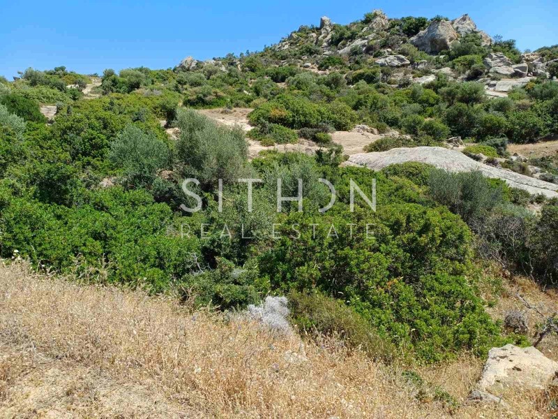 Οικόπεδο 500 τ.μ. προς πώληση, Σκάλα Συκέας