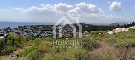 Αγροτεμάχια 4.000τ.μ. για πώληση-Σιθωνία » Παρθενώνας