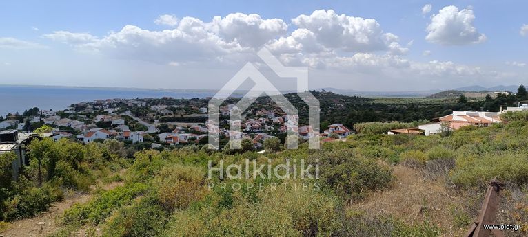 Αγροτεμάχια 4.000 τ.μ. για πώληση, Χαλκιδική, Σιθωνία