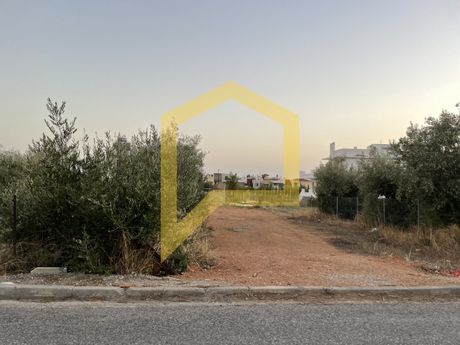 Οικόπεδο 1.300 τ.μ. για πώληση