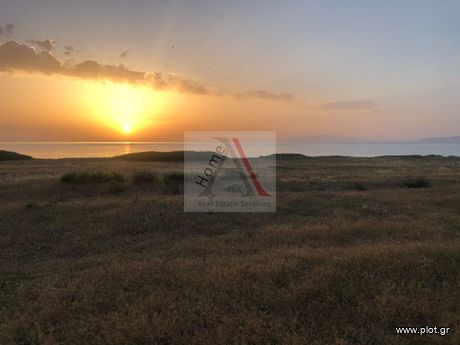 Οικόπεδο 10.500 τ.μ. για πώληση
