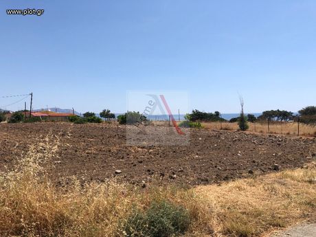 Οικόπεδο 7.500 τ.μ. για πώληση