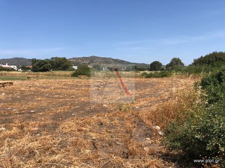 Οικόπεδο 4.200 τ.μ. για πώληση