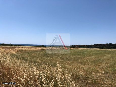 Οικόπεδο 7.500 τ.μ. για πώληση