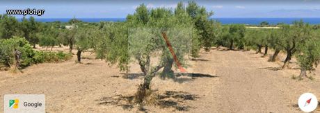 Οικόπεδο 1.580 τ.μ. για πώληση