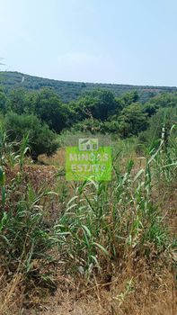 Οικόπεδο 4.637 τ.μ. για πώληση