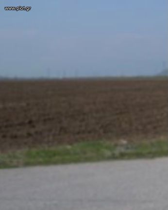 Οικόπεδο 20.000 τ.μ. για πώληση, Αθήνα - Ανατολικά Προάστια, Κορωπί