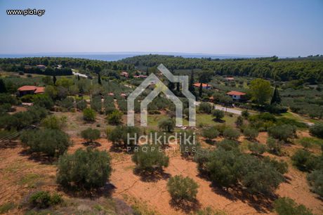 Αγροτεμάχια 3.675 τ.μ. για πώληση