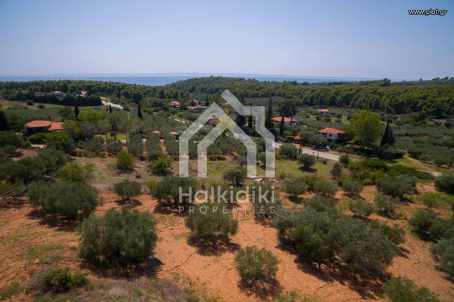 Αγροτεμάχια 3.675 τ.μ. για πώληση, Χαλκιδική, Σιθωνία