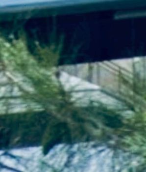 Μονοκατοικία 100τ.μ. για ενοικίαση-Γλυφάδα » Άνω γλυφάδα