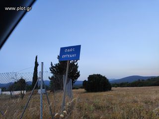 Αγροτεμάχια 1.170 τ.μ. για πώληση