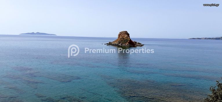 Οικόπεδο 6.000 τ.μ. για πώληση, Αργολίδα, Κρανίδι