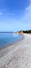 Οικόπεδο 6.000 τ.μ. για πώληση, Αργολίδα, Κρανίδι-thumb-1