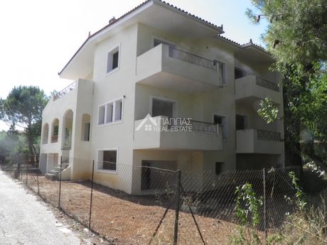 Μονοκατοικία 290τ.μ. για πώληση-Άγιος στέφανος » Κέντρο