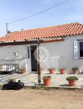 Μονοκατοικία 97τ.μ. για πώληση-Ερμιόνη » Τσελαίικα