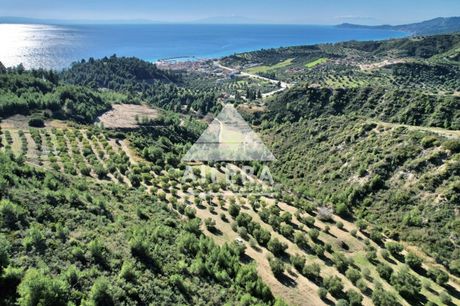 Αγροτεμάχια 31.000τ.μ. για πώληση-Παλλήνη » Νέα σκιώνη