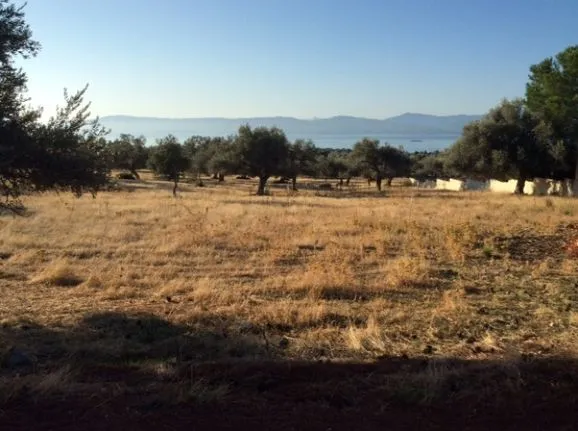 Parcel 4.000 sqm for sale, Evia, Eretria