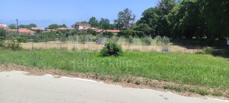 Αγροτεμάχια 500 τ.μ. προς πώληση, Αγιόκαμπος Μελιβοίας