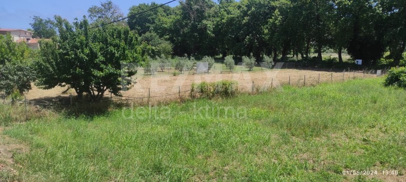 Αγροτεμάχια 500 τ.μ. προς πώληση, Αγιόκαμπος Μελιβοίας