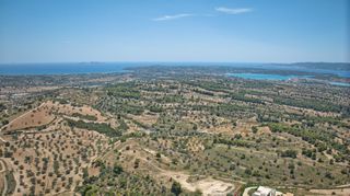 Αγροτεμάχια 11.565 τ.μ. προς πώληση, Βερβερούδα-thumb-10