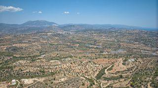 Αγροτεμάχια 11.565 τ.μ. προς πώληση, Βερβερούδα-thumb-16
