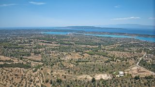 Αγροτεμάχια 11.565 τ.μ. προς πώληση, Βερβερούδα-thumb-11