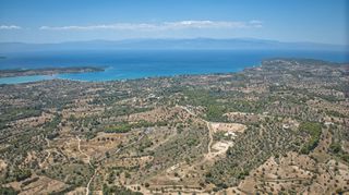 Αγροτεμάχια 11.565 τ.μ. προς πώληση, Βερβερούδα-thumb-13