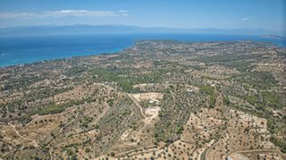 Αγροτεμάχια 11.565 τ.μ. προς πώληση, Βερβερούδα-thumb-14