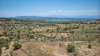Αγροτεμάχια 11.565 τ.μ. προς πώληση, Βερβερούδα-thumb-21