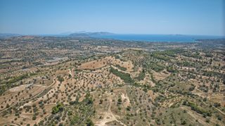 Αγροτεμάχια 11.565 τ.μ. προς πώληση, Βερβερούδα-thumb-5