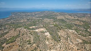 Αγροτεμάχια 11.565 τ.μ. προς πώληση, Βερβερούδα-thumb-17