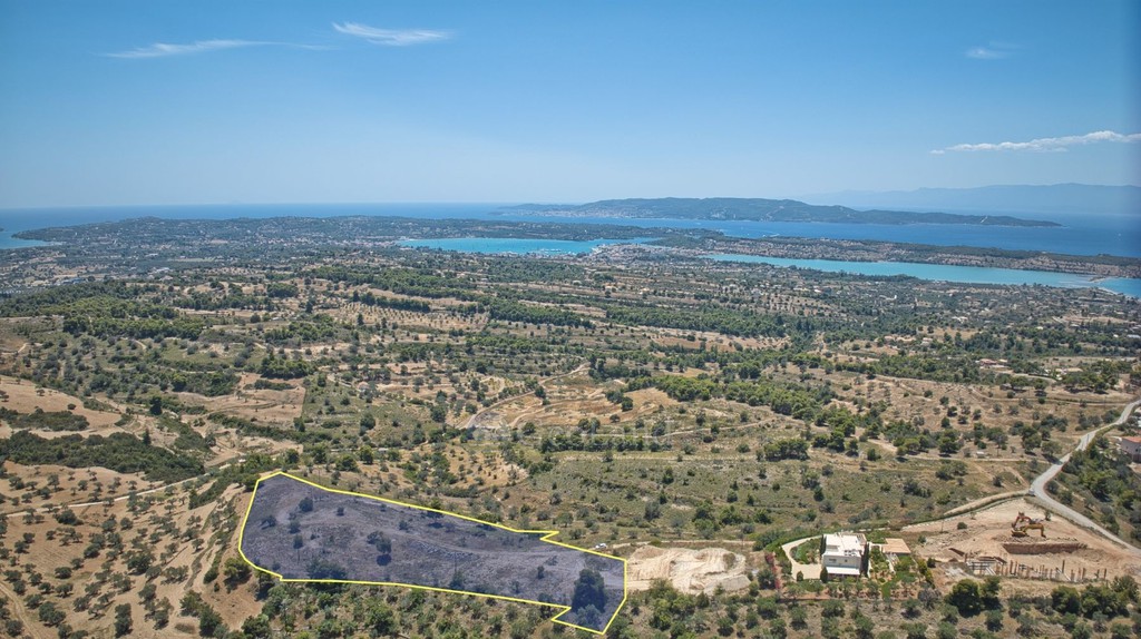 Αγροτεμάχια 11.565 τ.μ. προς πώληση, Βερβερούδα