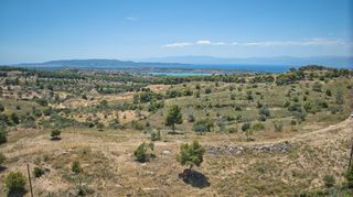 Αγροτεμάχια 11.565 τ.μ. για πώληση