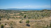 Parcel 11.565sqm for sale-Kranidi » Ververouda