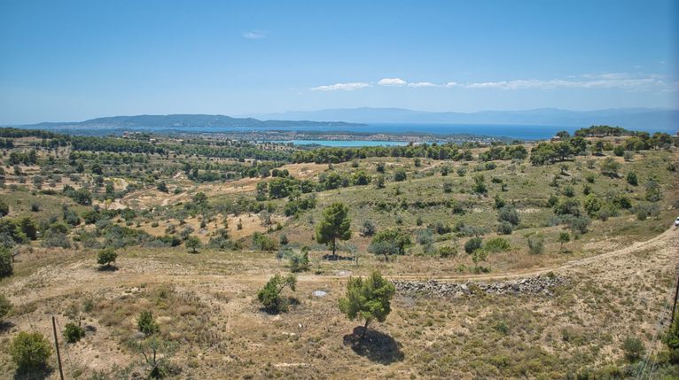 Αγροτεμάχια 11.565 τ.μ. για πώληση, Αργολίδα, Κρανίδι