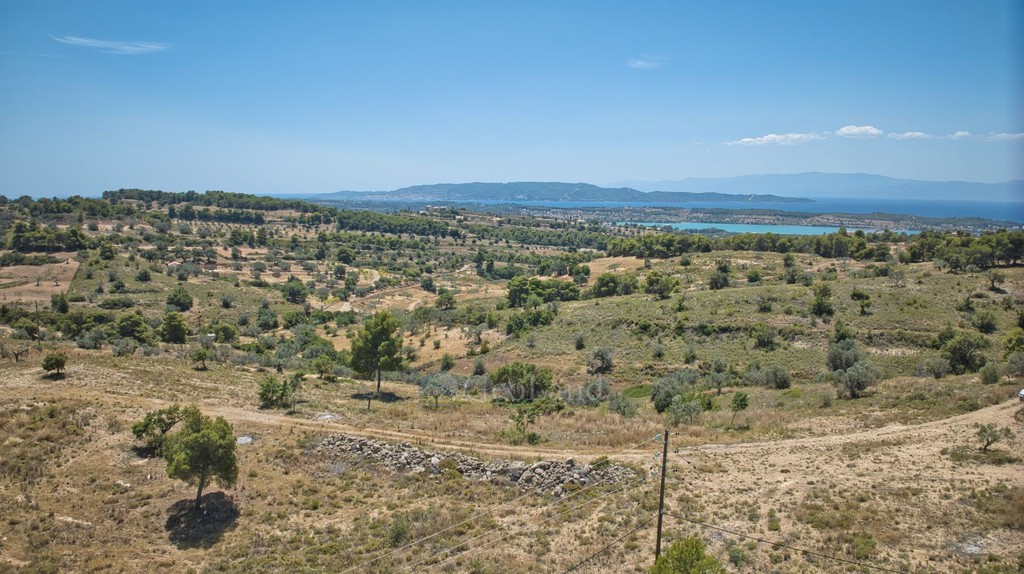 Αγροτεμάχια 11.565 τ.μ. προς πώληση, Βερβερούδα
