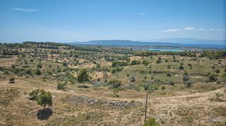 Αγροτεμάχια 11.565 τ.μ. προς πώληση, Βερβερούδα-thumb-3