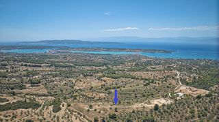 Αγροτεμάχια 11.565 τ.μ. προς πώληση, Βερβερούδα-thumb-1