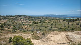 Αγροτεμάχια 11.565 τ.μ. προς πώληση, Βερβερούδα-thumb-20