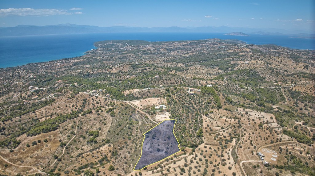 Αγροτεμάχια 11.565 τ.μ. προς πώληση, Βερβερούδα