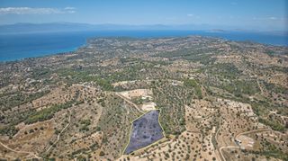 Αγροτεμάχια 11.565 τ.μ. προς πώληση, Βερβερούδα-thumb-4