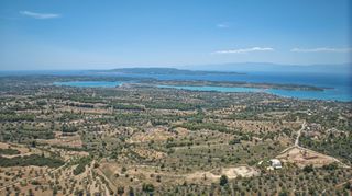 Αγροτεμάχια 11.565 τ.μ. προς πώληση, Βερβερούδα-thumb-12