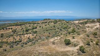Αγροτεμάχια 11.565 τ.μ. προς πώληση, Βερβερούδα-thumb-23