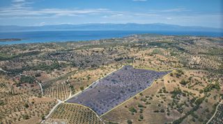 Αγροτεμάχια 60.839 τ.μ. πρός πώληση, Αργολίδα, Κρανίδι-thumb-8